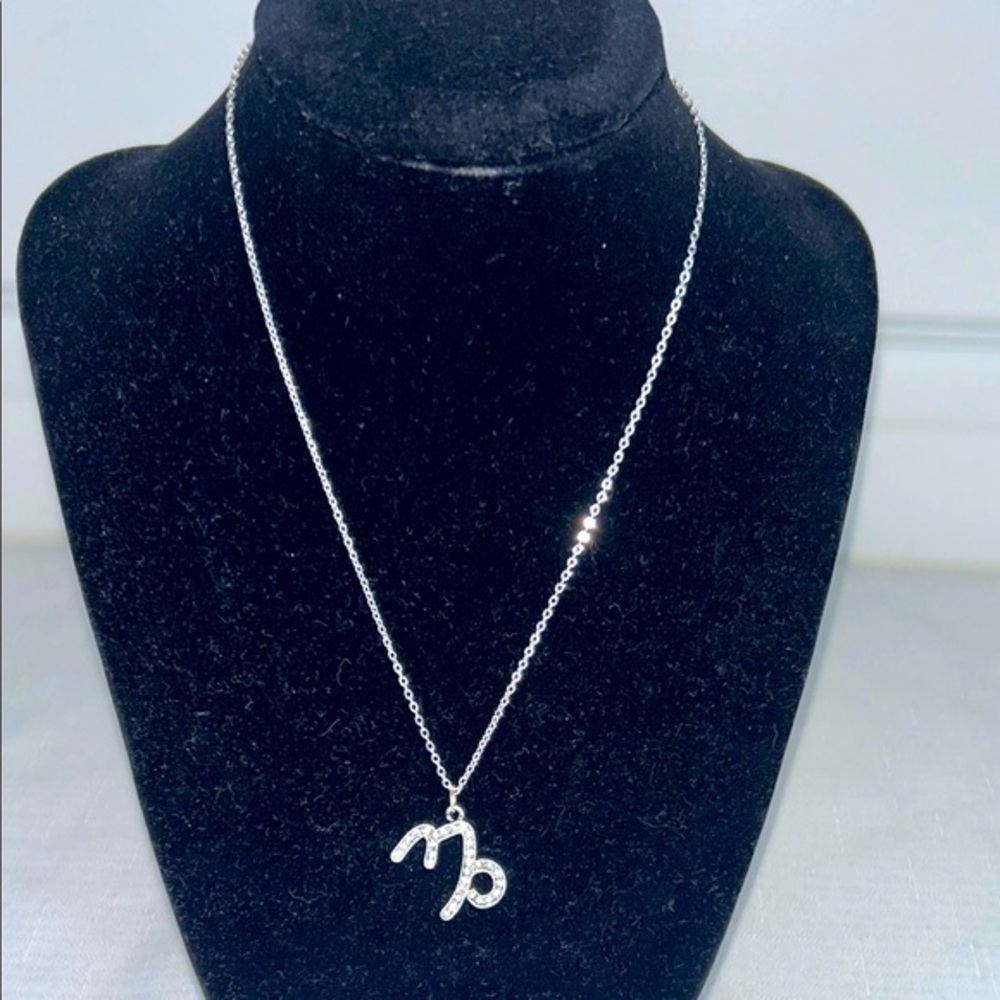 Xhilaration Silver Capricorn Zodiac Necklace